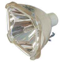 BOXLIGHT CP-33T Lamp without housing