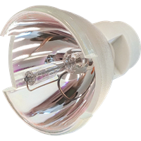 INFOCUS SP-LAMP-090 Lamp without housing