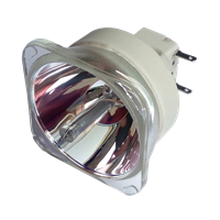 NEC NP-P554U Lamp without housing