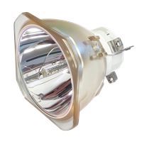 NEC PA621U Lamp without housing