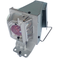 NEC VE303 Lamp with housing
