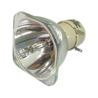 NEC VE303 Lamp without housing