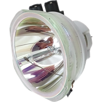 PANASONIC PT-DX100ELK (portrait) Lamp without housing