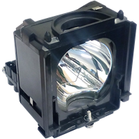 SAMSUNG SP-50L6HD Lamp with housing